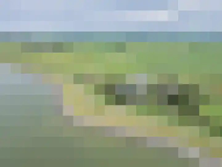 Sotterumerdijk 9 A Cornwerd thumbnail 51