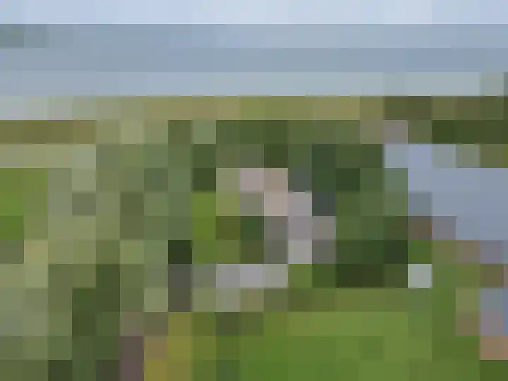 Sotterumerdijk 9 A Cornwerd thumbnail 52