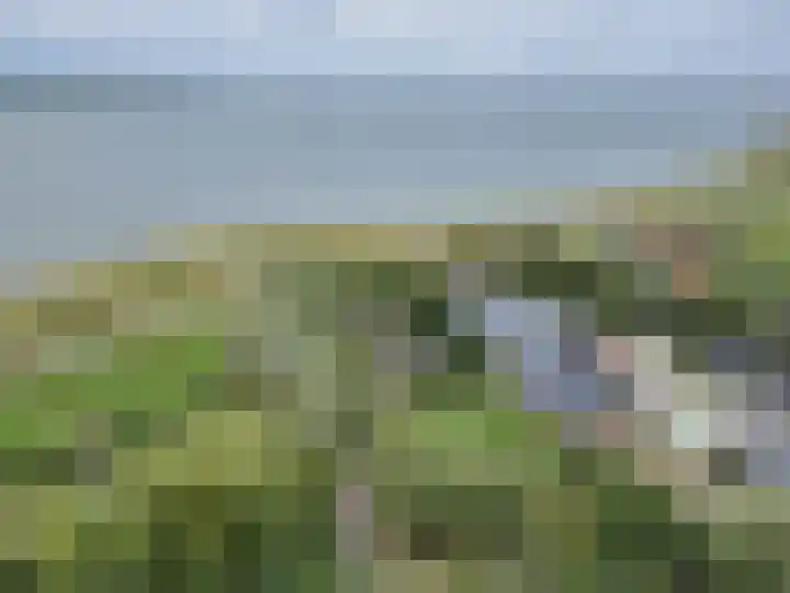 Sotterumerdijk 9 A Cornwerd thumbnail 53