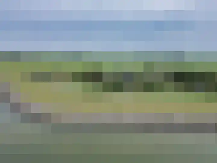 Sotterumerdijk 9 A Cornwerd thumbnail 55