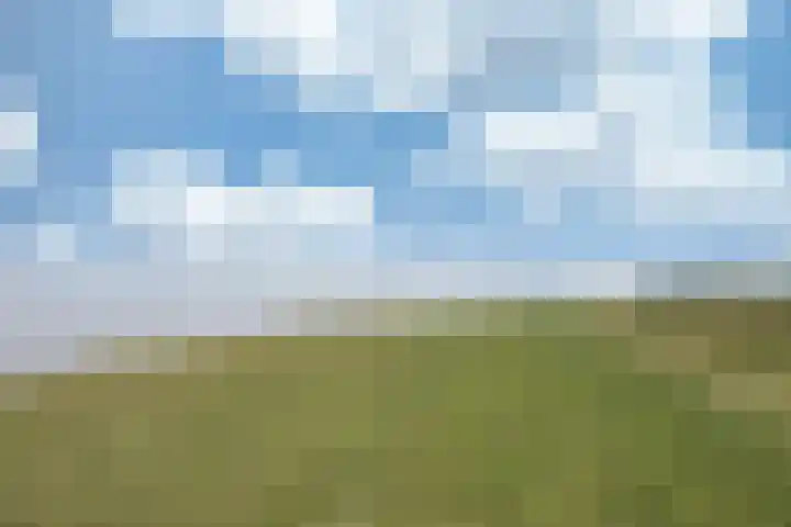 Sotterumerdijk 9 A Cornwerd thumbnail 56