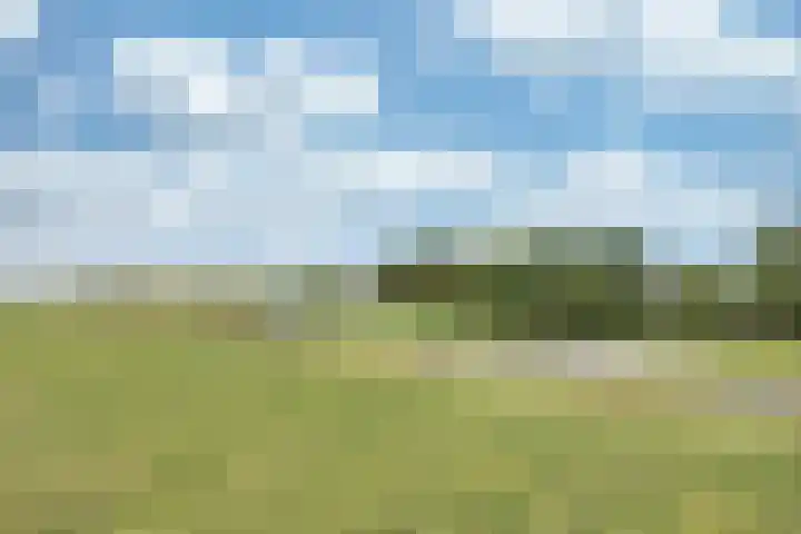 Sotterumerdijk 9 A Cornwerd thumbnail 57