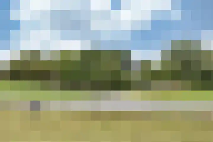 Sotterumerdijk 9 A Cornwerd thumbnail 58
