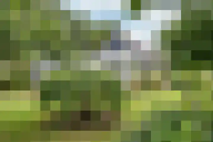 Sotterumerdijk 9 A Cornwerd thumbnail 62