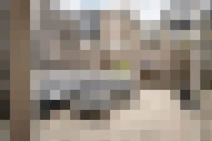 Soutmanstraat 14 Haarlem thumbnail 4