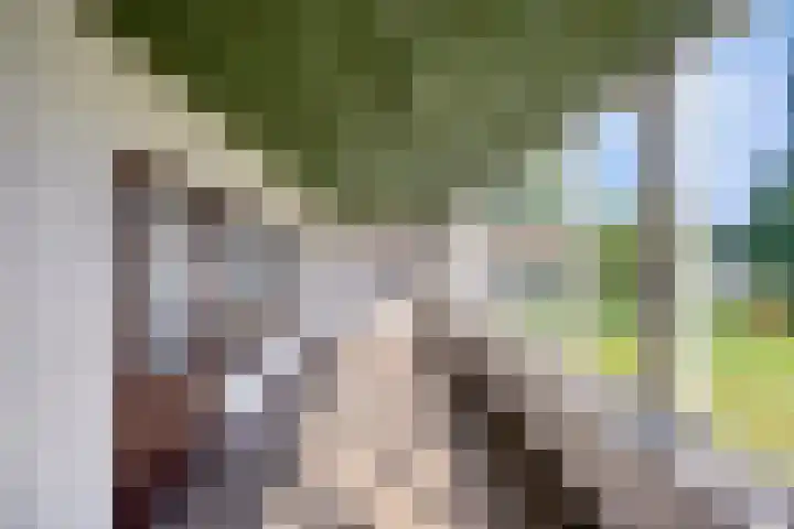 Soutsweg 13 Stramproy thumbnail 16