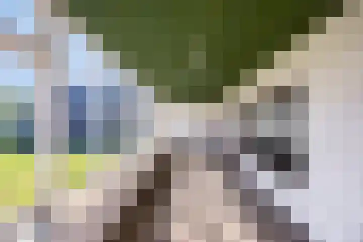 Soutsweg 13 Stramproy thumbnail 17