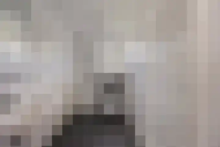 Soutsweg 13 Stramproy thumbnail 22