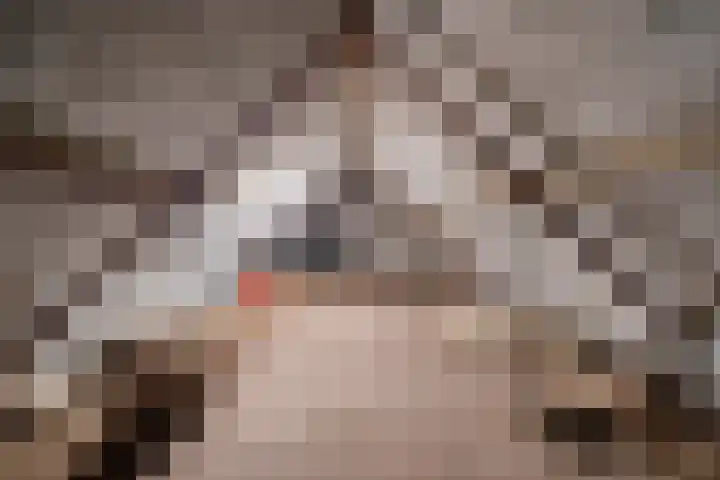 Soutsweg 13 Stramproy thumbnail 30