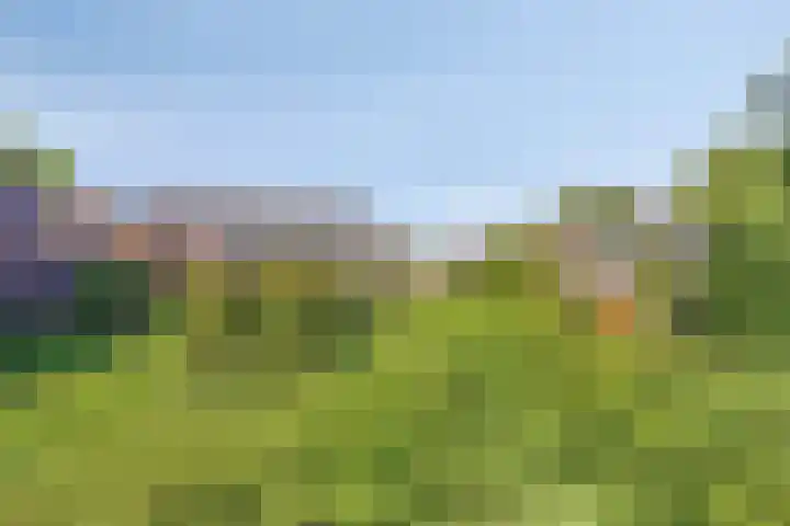 Soutsweg 13 Stramproy thumbnail 35