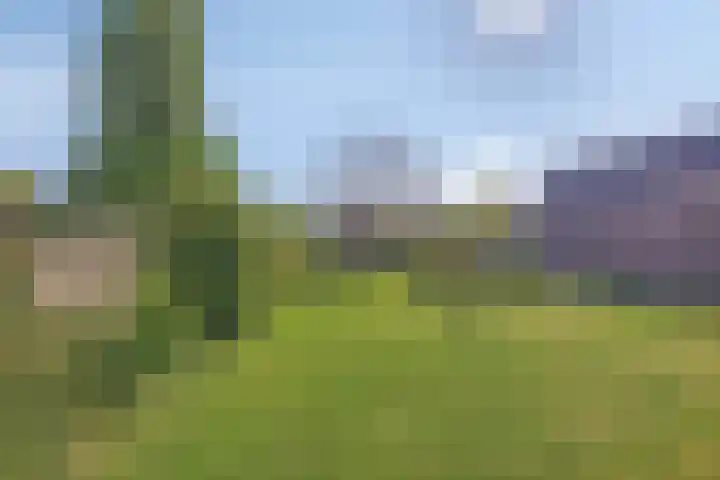 Soutsweg 13 Stramproy thumbnail 36