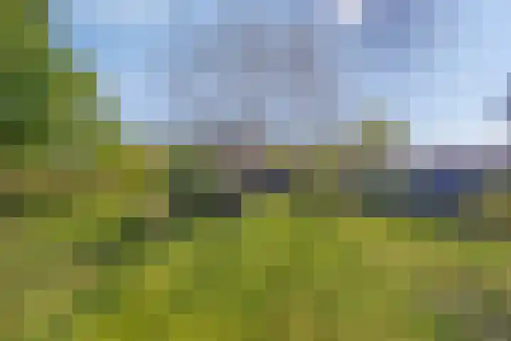 Soutsweg 13 Stramproy thumbnail 37
