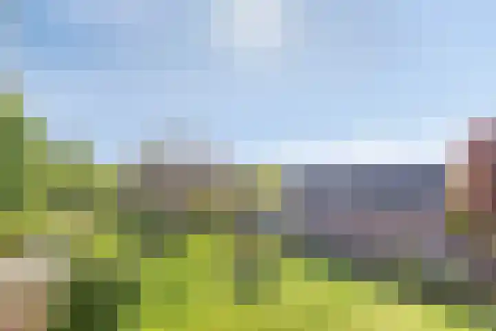 Soutsweg 13 Stramproy thumbnail 39