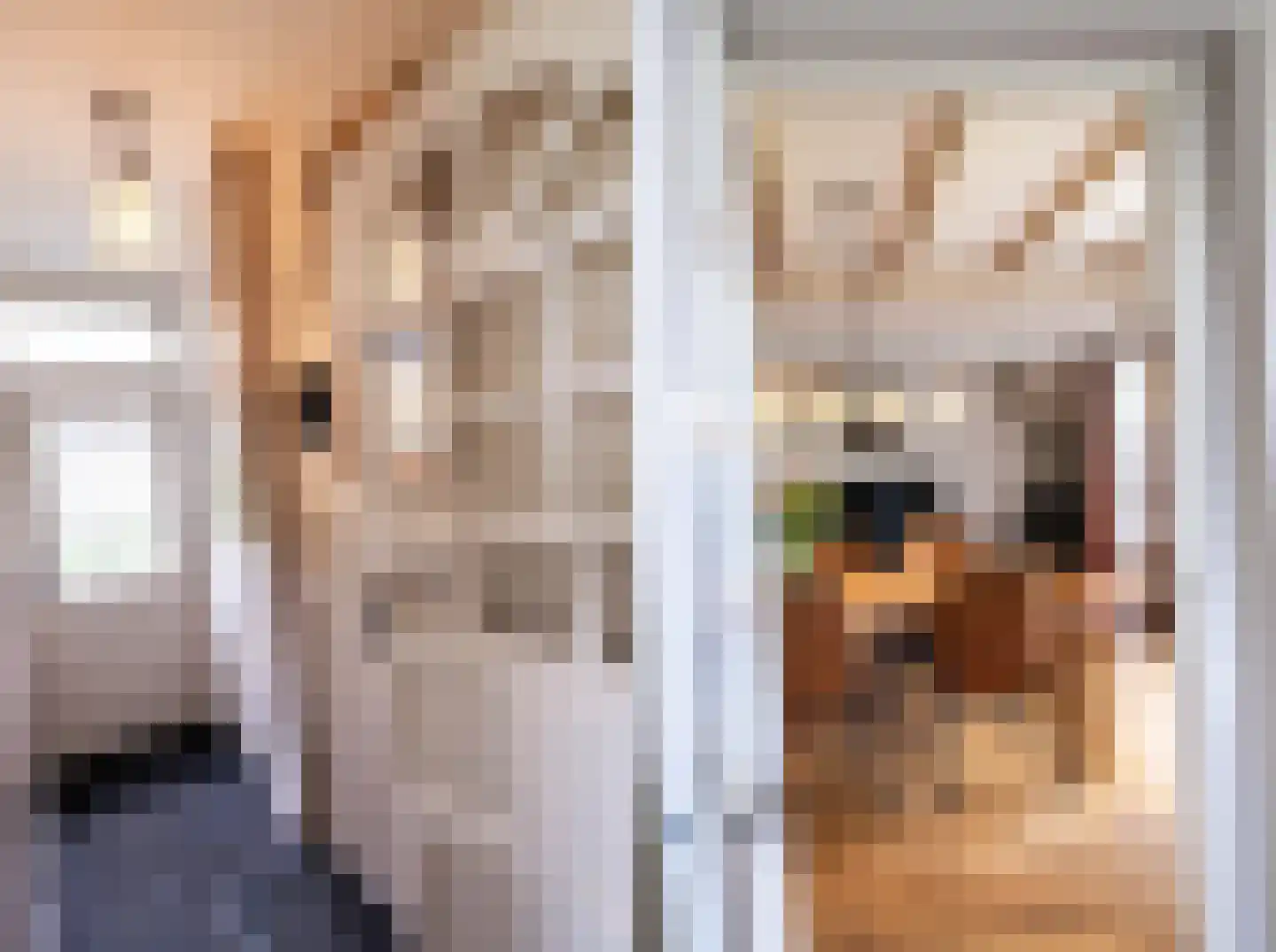 Spaanderstraat 126 Berghem thumbnail 12
