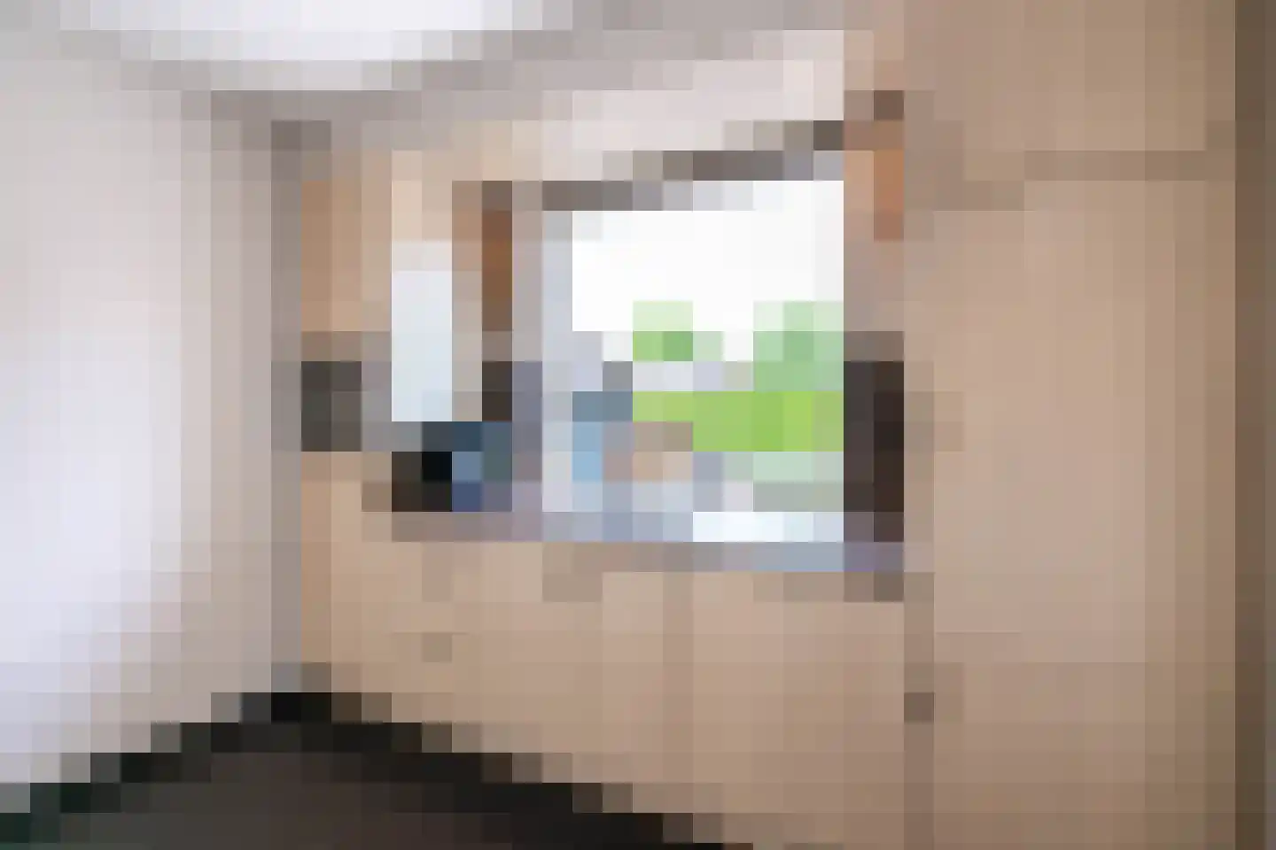 Spaanderstraat 126 Berghem thumbnail 13