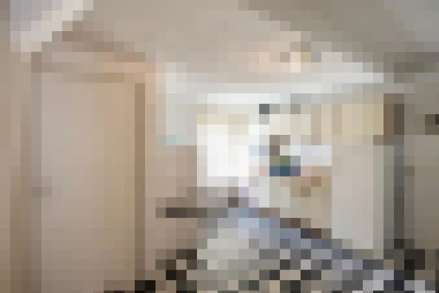 Spaanderstraat 126 Berghem thumbnail 15