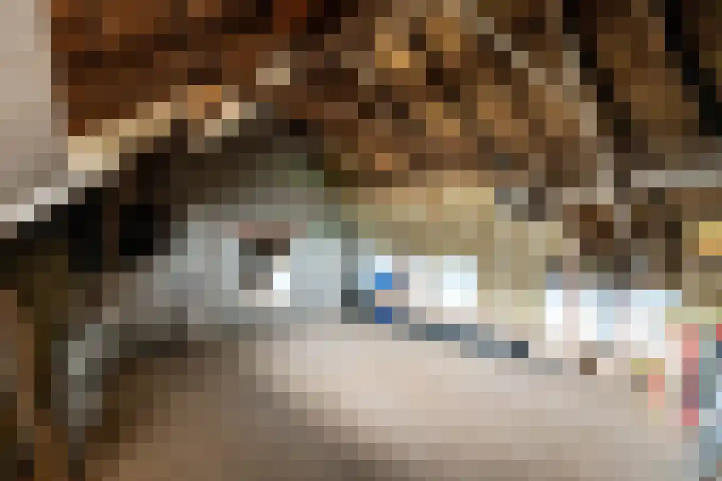Spaanderstraat 126 Berghem thumbnail 23