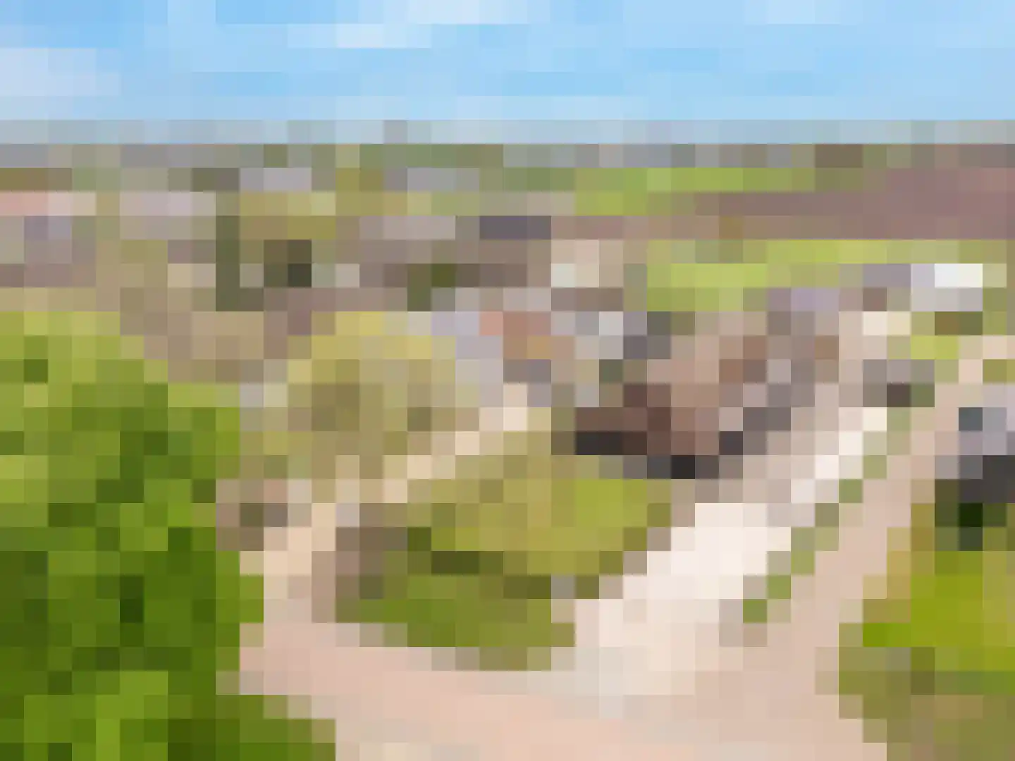 Spaanderstraat 126 Berghem thumbnail 27
