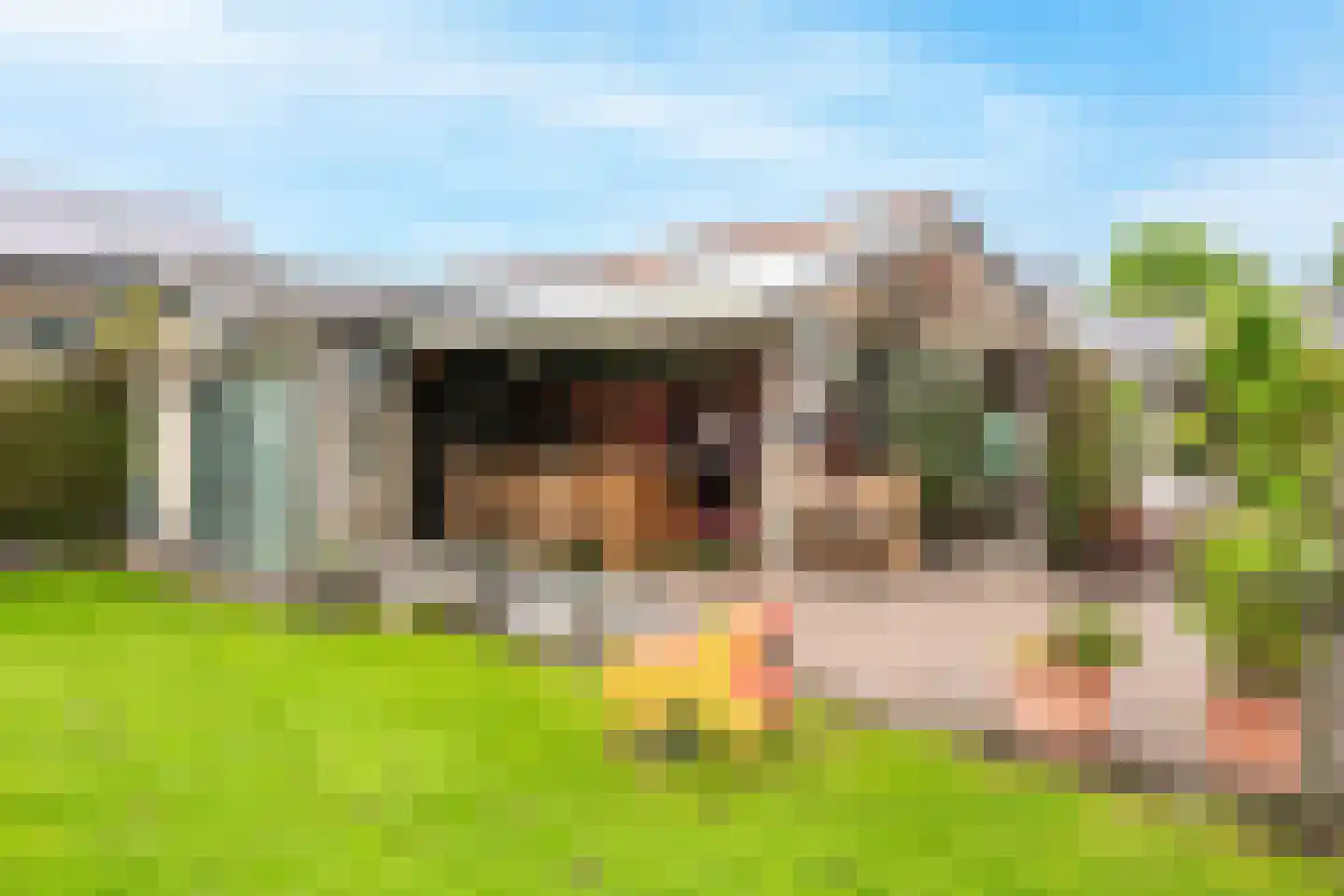 Spaanderstraat 126 Berghem thumbnail 31