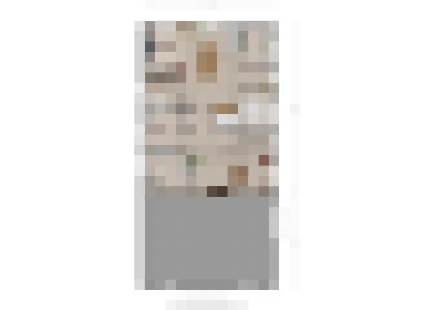 Spaanderstraat 126 Berghem thumbnail 36