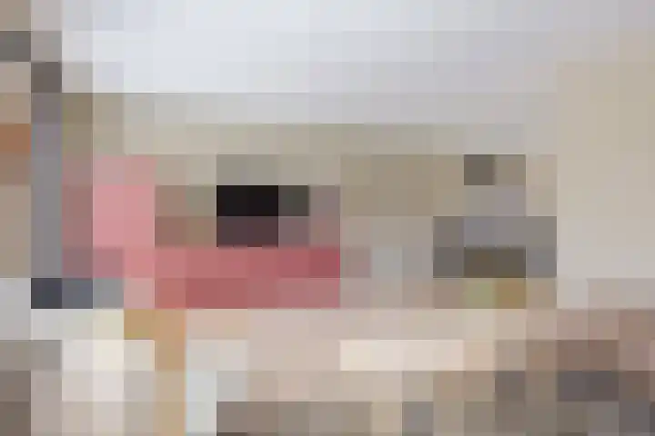 Spaarlân 6 Kimswerd thumbnail 17
