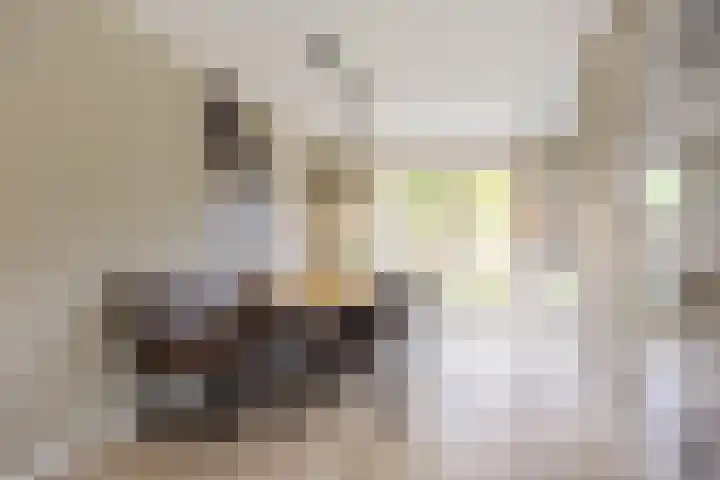 Spaarlân 6 Kimswerd thumbnail 19