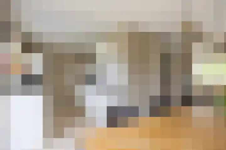 Spaarlân 6 Kimswerd thumbnail 22