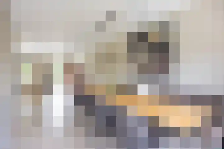Spaarlân 6 Kimswerd thumbnail 26