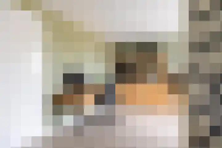 Spaarlân 6 Kimswerd thumbnail 27