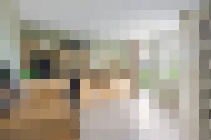 Spaarlân 6 Kimswerd thumbnail 28