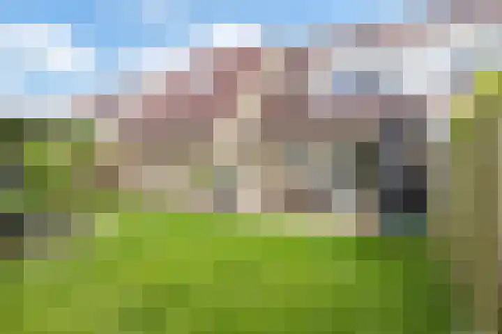 Spaarlân 6 Kimswerd thumbnail 38