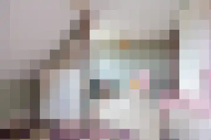 Spaarlân 6 Kimswerd thumbnail 40