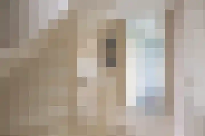 Spaarlân 6 Kimswerd thumbnail 42