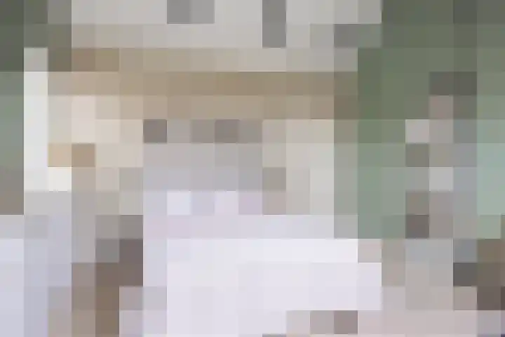 Spaarlân 6 Kimswerd thumbnail 53