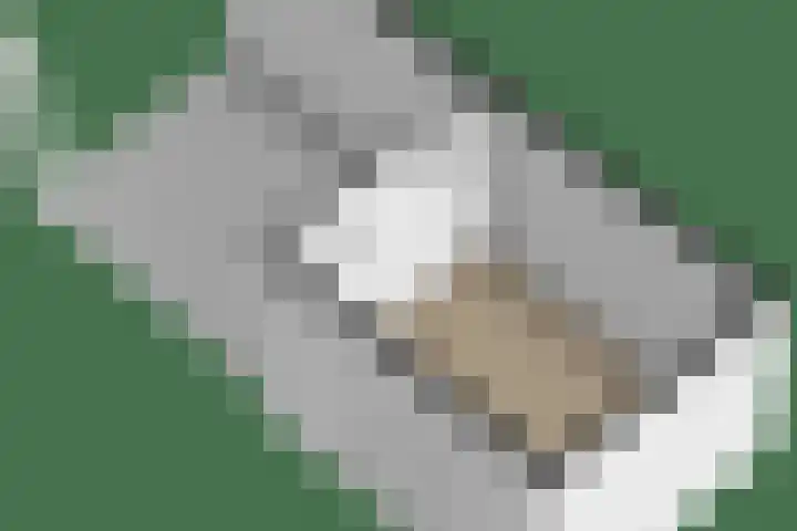 Spaarlân 6 Kimswerd thumbnail 64