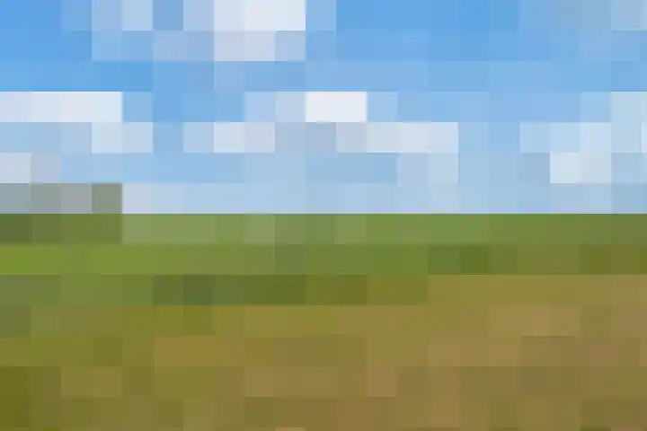 Spaarlân 6 Kimswerd thumbnail 7