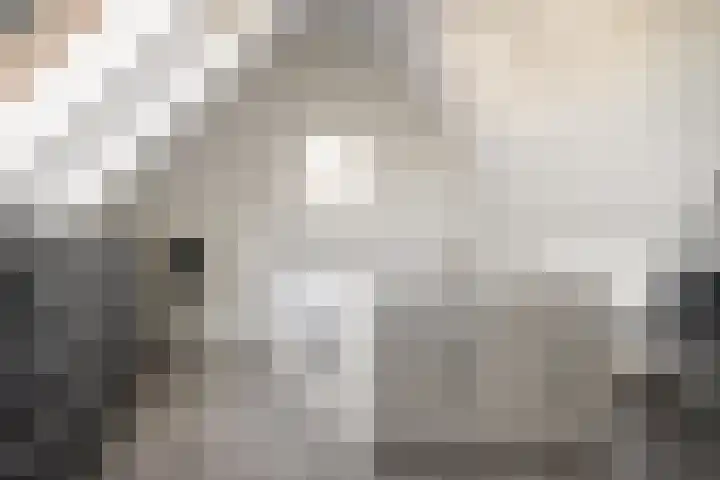 Spaarnekade 20 Spaarndam thumbnail 31