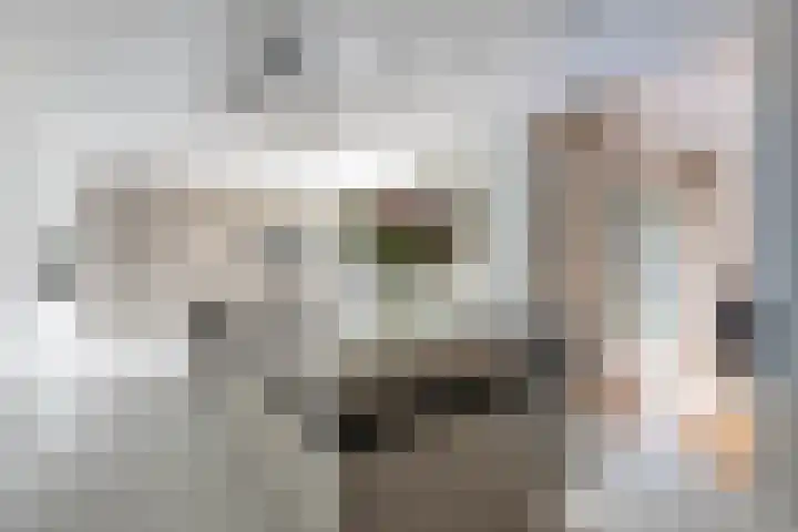 Spaarnelaan 3 Haarlem thumbnail 19