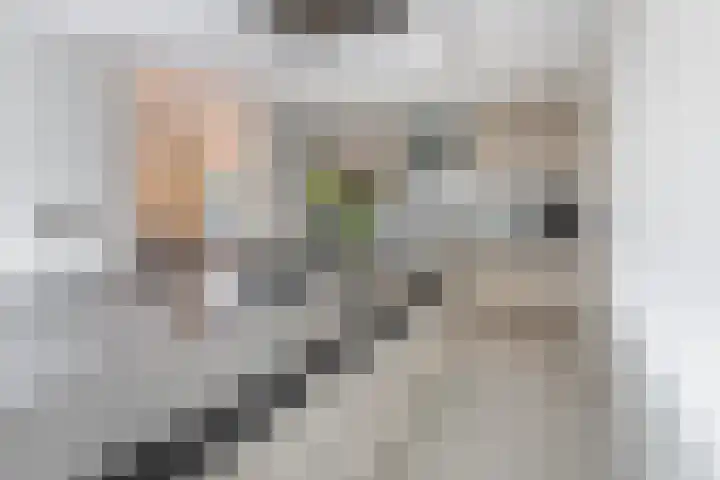 Spaarnelaan 3 Haarlem thumbnail 22