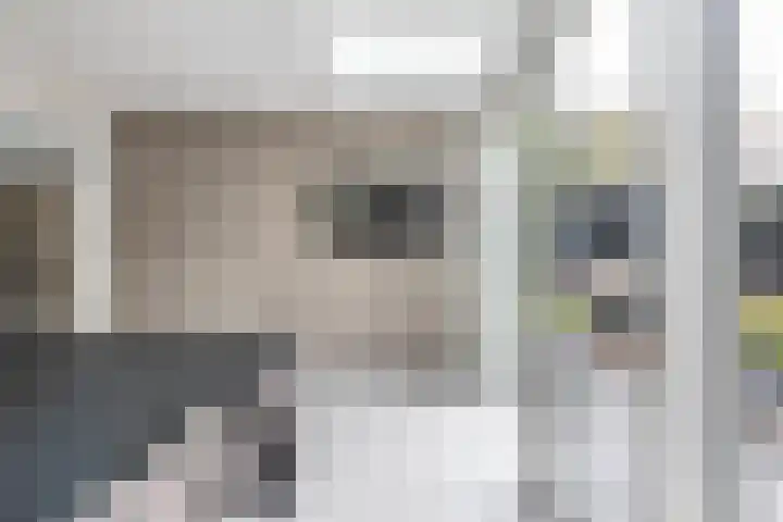 Spaarnelaan 3 Haarlem thumbnail 23