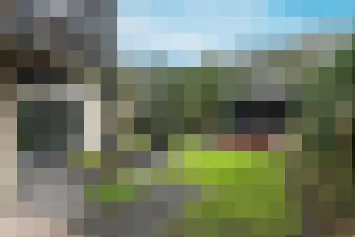 Spaarnelaan 3 Haarlem thumbnail 32
