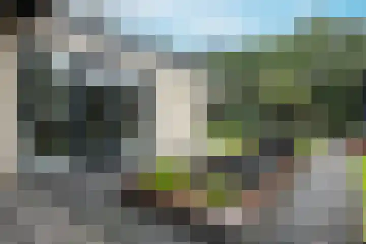 Spaarnelaan 3 Haarlem thumbnail 33