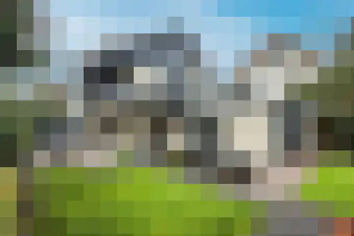 Spaarnelaan 3 Haarlem thumbnail 38