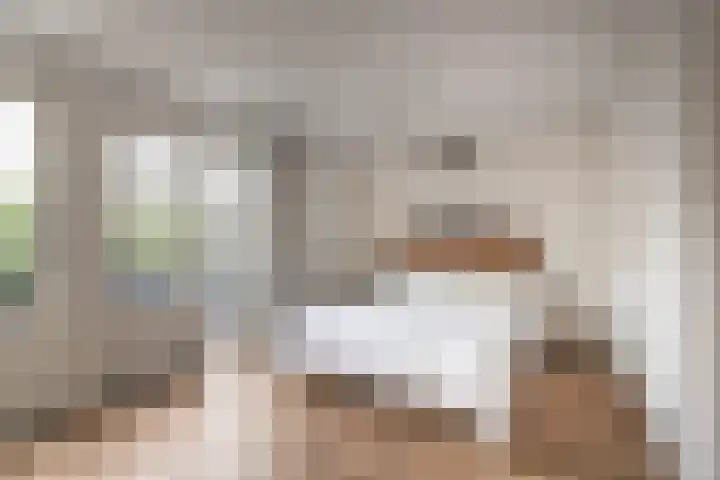 Spaarnelaan 3 Haarlem thumbnail 4