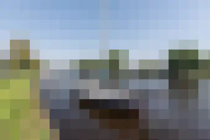 Spaarnelaan 3 Haarlem thumbnail 70
