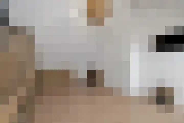Spade 16 Wieringerwerf thumbnail 24