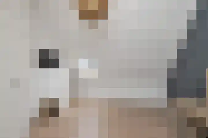 Spade 16 Wieringerwerf thumbnail 26