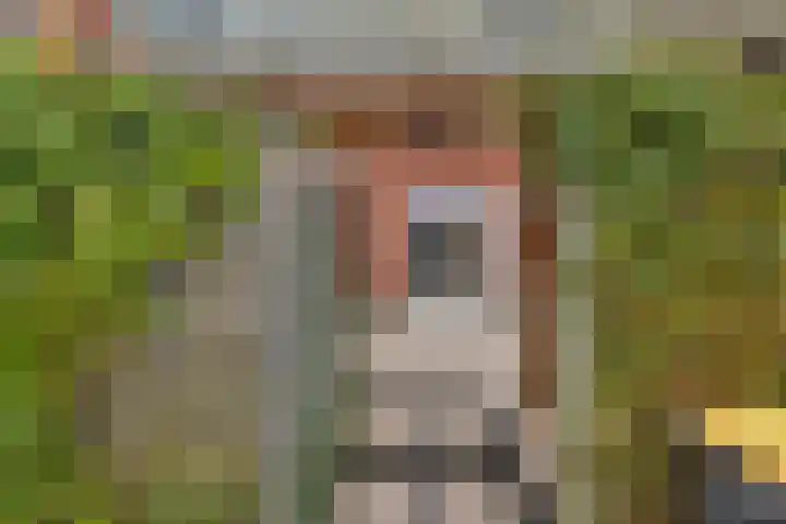 Spade 16 Wieringerwerf thumbnail 31