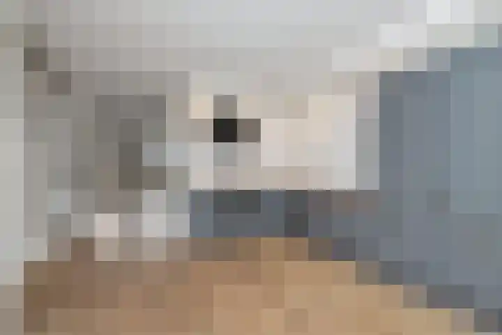 Spade 16 Wieringerwerf thumbnail 8