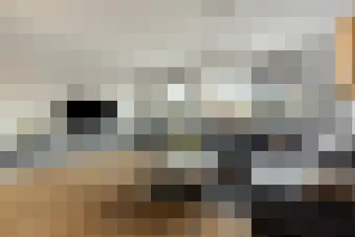 Spade 4 Wieringerwerf thumbnail 10